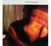 Picnic At The Whitehouse - Doors are open [VINYL]