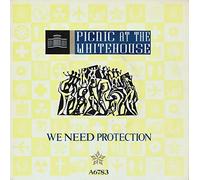 PICNIC AT THE WHITEHOUSE - We need protection / Little lady / PRTA 6783