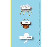 Picnic Comma Lightning - The Experience of Reality in the Twenty-First Century