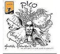 Pico - Ghost Flowers