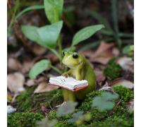 picocosmxiruo Miniature Small Frog and Rabbit Figurines Fairy Garden Supplies Terrarium Accessories DIY Miniature Garden