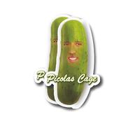 Picolas Cage Sticker - Funny Nicolas Cage Sticker - Pickle Face Meme- Premium Quality Vinyl Bumper Stickers 2-Pack | 5-Inch on Widest Side | Made in USA - FHJ586