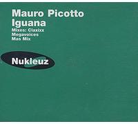 Picotto, Mauro - Iguana