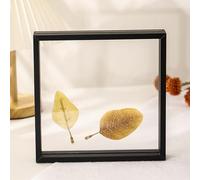 Picture Frame, Transparent Double Sided Floating Photo Frame For Plant Specimens Leaves Paper Cuts Multiple Colors Multiple Sizes(Black,7 inches)