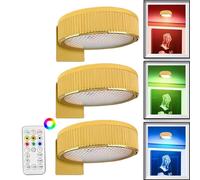 Picture Lights for Wall, Battery Operated Wall Painting Light | Wireless Magnetic Display Art Light with Remote Controls, Novelty Lamp for Home Library Cafe Art Display for Study, Bedroom