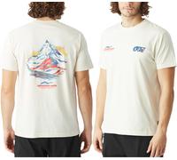 Picture Organic Clothing - Organic cotton T-shirt - D&S Switzerland Tee Natural White for Men - Size L White