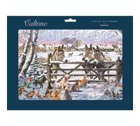 Picture Perfect Christmas Advent Calendar | Fold-out Traditional Picture Advent Calendar with Donkeys, Cats, Dogs and Snowy Village - 24.5x35cm