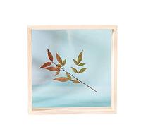 Picture Photo Frame Frame Wood Double-Sided Glass Home Decoration Crafts Sawdust Home Craft Desktop Decoration (Size : A) (Size : Onecolor) (Size : B)