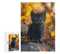 Picture Puzzle - Kitten with Bright Orange Eyes in Autumn, Decorative Jigsaw for Grown-Ups, 300 PCS, Seasonal Gift - to Assemble, Frame And Display