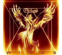 Picture - Wings