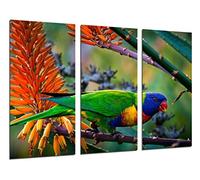 Pictures Camera Poster Photo Multicolour 97 x 62 cm