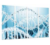 Pictures Camera Poster Photograph, Multi-Colour, 131 x 62 cm