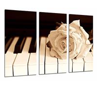 Pictures Camera Poster Photograph, Multi-Colour, 97 x 62 cm