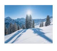 Picturesque Allgäu: A Winter Wonderland，Jigsaw Puzzles for Adults 1000 Piece Challenging Game Toys, Impossible Puzzle,1000 Piece Jigsaw Puzzles for Adults Family Decoration Puzzle（50x70cm）-V7