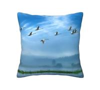 Pidgazdfgv Birds Flying Away Over Skycover Throw Pillow Covers Square Soft Sofa Bedroom Decorative Pillowcases Fall Halloween