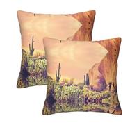 Pidgazdfgv Cactus At Sunset Poster Cushion Cover Throw Pillow Cover Square Couch Cushion Sofa Bedroom Decor Pillowcase Summer
