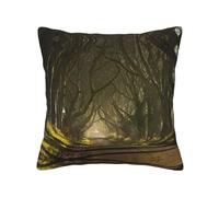 Pidgazdfgv Dark Hedges Northern Irelandcover Throw Pillow Covers Square Soft Sofa Bedroom Decorative Pillowcases Fall Halloween