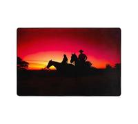 Pidgazdfgv Texas Cowboy Bathroom Rug Extra Soft Absorbent Bath Mat Machine Washable Microfiber Non Slip Floor Mat