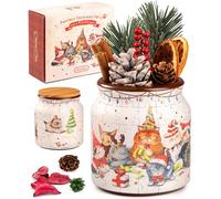 PieceRelax 3D Puzzle Jar Gift Set 96 Plastic Pieces for Adults - Phoenix Chan - Purrfect Christmas Party, Wooden Lid with Dried Flowers for Cozy Home [BB1052]