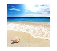 PieceRelax PieceClicks Plastic Jigsaw Puzzles for Adults 750 Pieces Coastal Beach Puzzle - Seashell on the Beach - 18.8 X 18.8 Inches, Ocean Seascape Artwork, Most Satisfying Table Games [U1136]