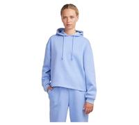 PIECES Women's Pcchilli LS Hoodie Noos BC Hoodie, Hydrangea, XS
