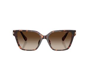 Piedmont Sunglasses - female - Michael Kors - Sunglasses - Brown - 56 MM - Accessories 56 MM