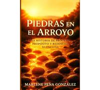 Piedras en el Arroyo: Una historia de procesos, propósito y redención silenciosa
