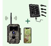 Piège Photographique Wifi Photo 64MP Video 1296P W600 + kit panneaux solaires Gris