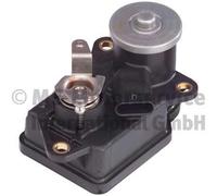 PIERBURG 7.01133.05.0 Control, swirl covers (induction pipe) for MERCEDES-BENZ