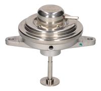 PIERBURG 7.24809.27.0 EGR valve