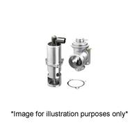Pierburg EGR Valve OE Engine Management 7.10334.45.0 Fits Mercedes Renault Dacia