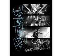 Pierce The Veil "Youth Rising Framed Print, Multi-Colour, 30 x 40 cm