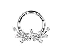 Pierced Owl 16GA ASTM F-136 Implant Grade Titanium CZ Crystal Shooting Star Center Hinged Segment Clicker Ring, Metal, cubic zirconia