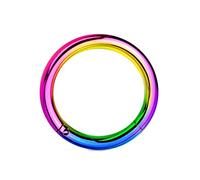 PiercedOff Rainbow PVD over 316L Surgical Steel Hinged Segment Ring - Thickness 14GA (1.6mm) / Diameter 12mm