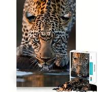 Piercing Eyes of The Wild 1000 Piece Jigsaw Puzzles for Adults Improve Memory Anxiety Relief Sharp Edge Wall Art Decor (50x75cm)