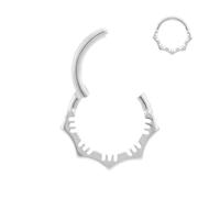 PIERCINGBOY 1Pcs 16G Titanium Nose Rings Silver Flower Hinged Septum Ring 16 Gauge 7mm 8mm 10mm Daith Hoop Earring Stacked Septum Rook Clicker Piercing, Titanium, no gemstone