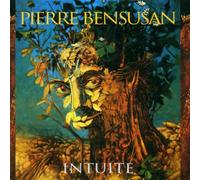 Pierre Bensusan - Intuite
