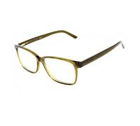 Pierre Cardin P.C. 6193 Matt copper gold 56/16/145 MAN Eyewear Frame