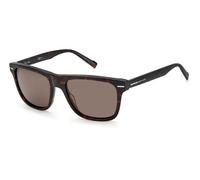 Pierre Cardin P.C. 6243/S 086/QT Man Sunglasses Acetate Havana Green Squared