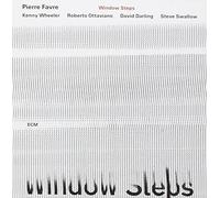 Pierre Favre - Window Steps