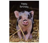 Pig Birthday Card