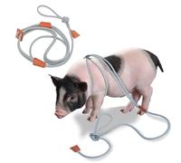 Pig Harness & Leash, Escape Prevention Adjustable Rope, All in One Design, All Life Stages Small to Medium Mini Pigs-5 Feet Long-Grey