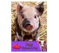 Pig/Piglet Animal Valentines Day Card