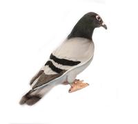Pigeon 6299 Plush Soft Toy Bird by Hansa Creation Sold by Lincrafts UK Est. 1993