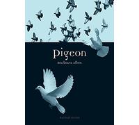 Pigeon (Animal)