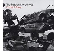 Pigeon Detectives, the - I'm Not Sorry [DISC 2] [7" VINYL]