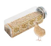 Pigeon Feeder - Clear No Chicken Feeder 4 Cute Bear Feeding Ports | Chicken Feeding Station | Portable Bottle Shaped Birdfeeders, Cage Accessories For Quail Parrots Budgies Basilisks Finches