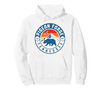 Pigeon Forge Pullover Hoodie