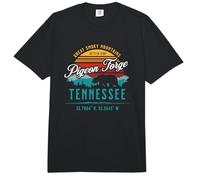Pigeon Forge Tennessee Great Smoky Mountains Bear Retro Comfort Colors Adult Heavyweight T-Shirt