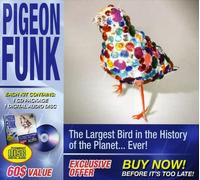 Pigeon Funk - The Largest Bird In The History Of The Planet Ever